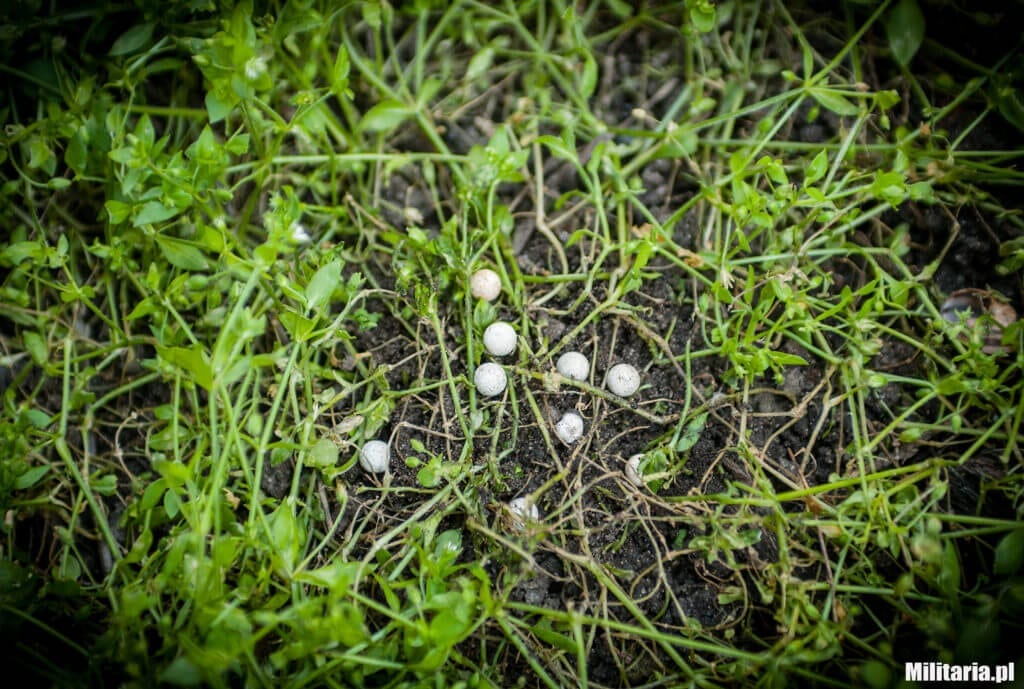 kulki biodegradowalne