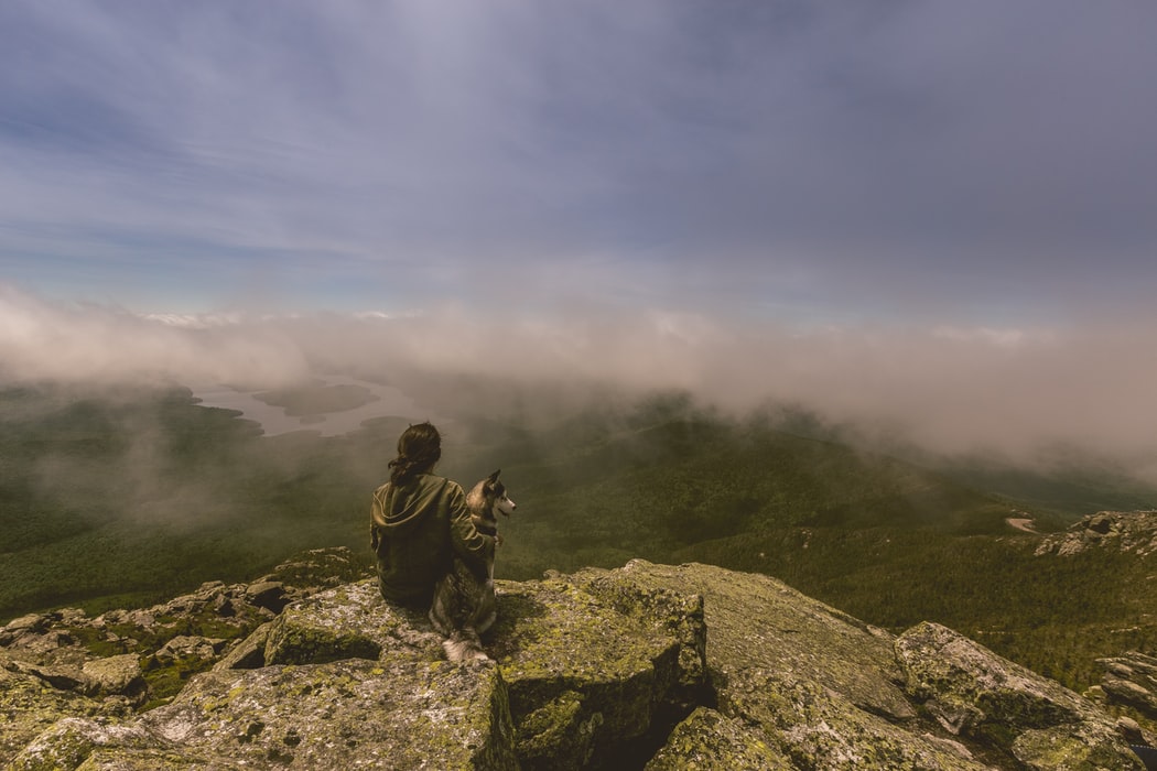Dogtrekking, czyli wędrowanie z psem